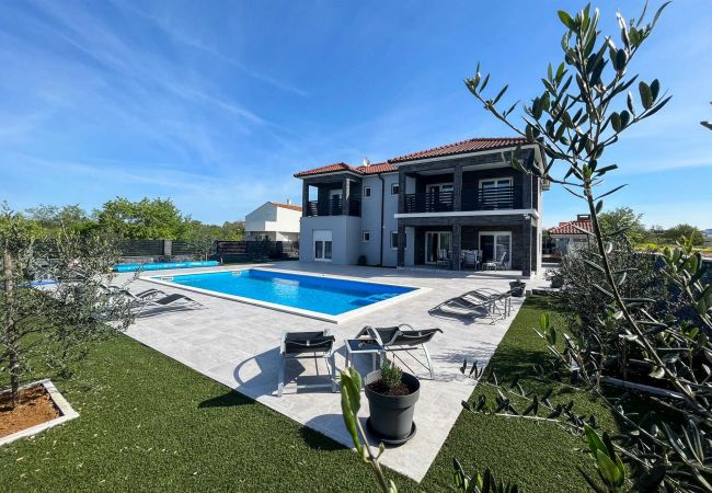 Villa in Murvica - Villa Ela with heated pool