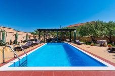 Villa in Posedarje - Stone villa Tea with pool