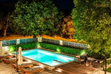 Villa in Pridraga - Villa Niko with heated pool