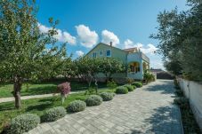 House in Galovac - Holiday house Antonia with pool