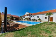 Villa in Miranje - Villa Marinic with heated pool and entertainment r