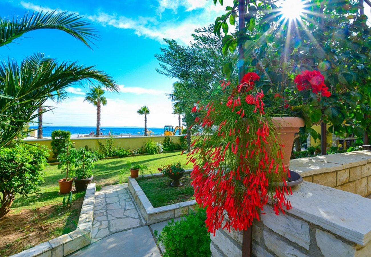 Apartment in Vir - Holiday Apartment Inga with exit to the beach