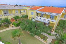 Apartment in Vir - Holiday Apartment Inga with exit to the beach