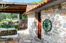 House in Benkovac - Country House Irena with pool