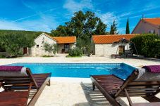 House in Benkovac - Country House Irena with pool