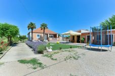 House in Benkovac - Holiday House Meri with pool