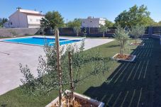 Villa in Murvica - Villa Ela with heated pool