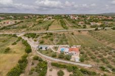 House in Bulic - Holiday House Fjaka