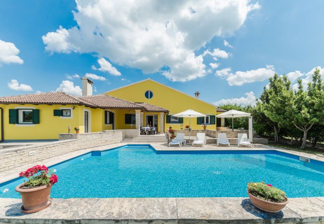 Villa in Policnik - Villa Ana with large pool