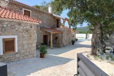 Villa in Crljenik - Stone villa Marita with pool