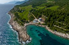 Villa in Pijavicino - Beachfront villa Luce with seaview and pool