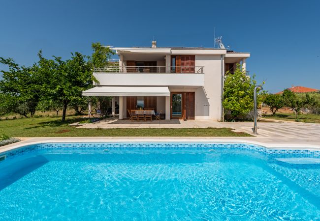 Villa in Privlaka - Olivar house with heated pool by the beach
