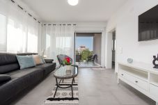 Apartment in Zaton - Apartment Laurel near the sea