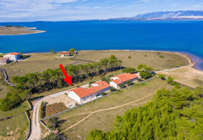 House in Lozice - Beachside Holiday House Anamarija